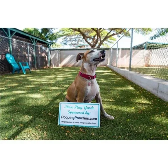 White Elephant Gag Gift Calendar - Picture 7 of 8